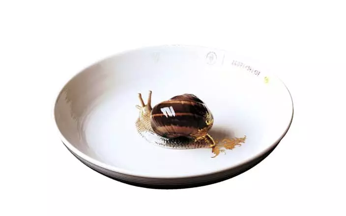 Plate with snail - Hella Jongerius - Table light - Galerie kreo